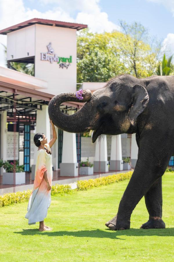 Elephyard Retreat Hotell Mahiyanganaya Exteriör bild